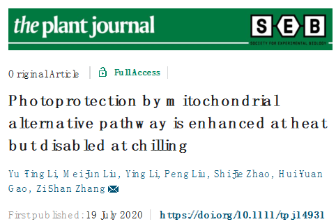 威尼斯人网址