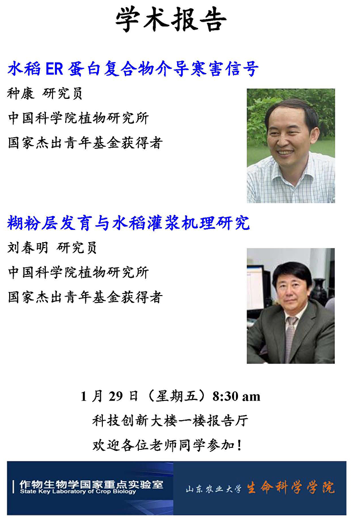 威尼斯人网址