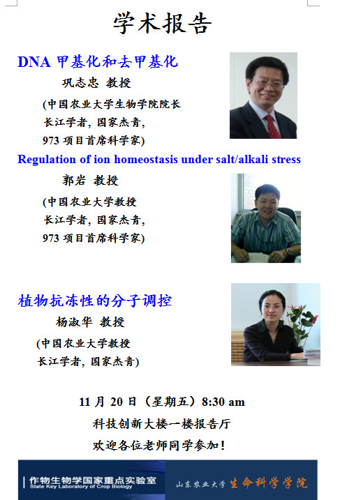 威尼斯人网址