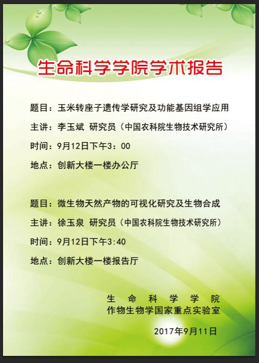 威尼斯人网址