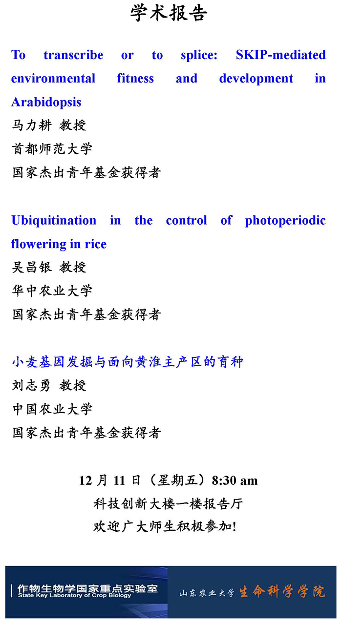 威尼斯人网址
