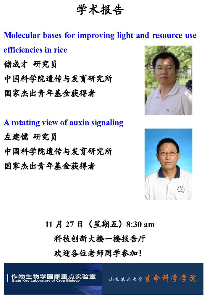 威尼斯人网址
